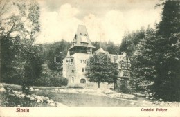 T2/T3 Sinaia, Castelul Pelisor / Castle (EK) - Non Classés