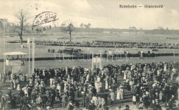 T1/T2 Berlin, Rennbahn Grunewald; Kunstverlag J. Goldiner / Horse Racing Field - Non Classés