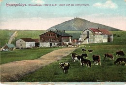 ** T4 Lucní Bouda, Wiesenbaude; Riesengebirge, Schneekoppe (r) - Zonder Classificatie