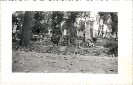 T2 1940 Újvidék, Novi Sad; TemetÅ‘ / Cemetery, Photo - Zonder Classificatie