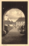 ** T2 Varasd, Warasdin, Varazdin; Utcarészlet Kocsissal / Street With Horse Cart - Zonder Classificatie