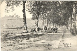 ** T1 Károlyváros, Karlovac; Sétány A Régi Várral / Promenade With Old... - Unclassified