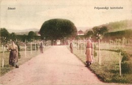 T2 Jászó, Jasov; Prépostsági Kert Részlet / Garden - Unclassified