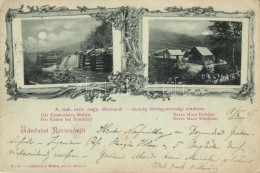 T2 1899 Resica, Resita, Gát Ferencfalva Mellett, Erdészház  / Dam, Forester House Floral (EK) - Zonder Classificatie