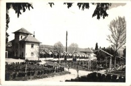 T2 1941 Kolozsvár, Cluj; Park, Photo - Zonder Classificatie