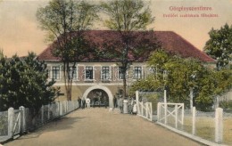 T2 Görgényszentimre, Gurghiu; ErdÅ‘altiszti Szakiskola; Kiadja Bischitz J. / Forestry School - Zonder Classificatie