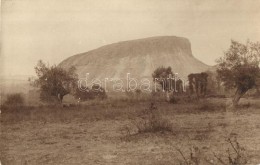 ** T2 ~1910 Badacsony, Photo - Unclassified