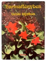 Harmatfényben - BelsÅ‘ Tájakon. Irodalmi Antológia. Bp., 1997, Alterra. Kiadói... - Non Classificati