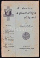 Dr. Némethy Gyula: Az Å‘sember A Paleontológia Világánál. Bp., 1912, Szent... - Zonder Classificatie