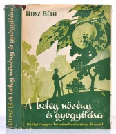 Husz Béla: A Beteg Növény és Gyógyítása. Bp., 1941, KMENy. VIII+343... - Ohne Zuordnung