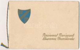 Cca 1930 Pensionnat Florissant, Lausanne Chamblandes. Képes Információs Füzet / Boarding... - Zonder Classificatie