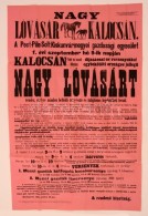 1893 Kalocsa, Lóvásár Plakátja 60x100 Cm - Zonder Classificatie