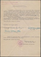 1942 Baja, M. Kir. Honvéd I. Folyamzárzászlóalj Parancsnokság. Nyilatkozat... - Andere & Zonder Classificatie