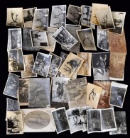 1918-1968 74 Db Vadászattal Kapcsolatos Fotó(agancsok, Szarvasok, Stb.), 6x9 és 9x13 Cm - Andere & Zonder Classificatie