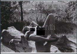 Cca 1975 Természeti Formák Egymáshoz Simulva, 2 Db Finoman Erotikus Fénykép,... - Altri & Non Classificati