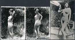 Tündér A Kertben, 3 Db Erotikus Fotó, 11x9 és 14x9 Cm / 3 Erotic Photos - Sonstige & Ohne Zuordnung