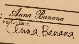 1978 Anna Banana (1940-) Kanadai MÅ±vész Aláírása Egy Master Of Bananology... - Andere & Zonder Classificatie