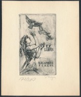 Varga Nándor Lajos (1895-1978): Galambos Ferenc Ex Libris, Rézkarc (172/200), Papír, Jelzett,... - Andere & Zonder Classificatie