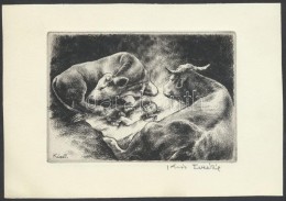 Kiss Terézia (1928- ):Újszülött. Rézkarc, Papír, Jelzett, 9×13 Cm - Altri & Non Classificati