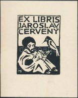 Michael Florian (1911 -1984): Ex Libris Jaroslav Cerveny. Fametszet, Papír, Jelzett A Dúcon,... - Andere & Zonder Classificatie