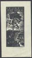 Antonín DoleÅ¾al (?-?) : Ex Libris, Fametszet, Papír, Jelzett, 9×4cm - Andere & Zonder Classificatie