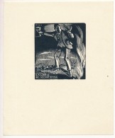 Buday György (1907-1990): Ex Libris Némedy Gyula. Fametszet, Papír, Jelzett A Dúcon,... - Sonstige & Ohne Zuordnung