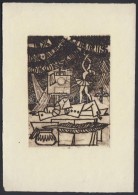 Benedyktowicz Janusz (1918-2001): Ex Libris. Rézkarc. Jelzett A Dúcon. / Polish Bookplate. Engraving,... - Andere & Zonder Classificatie