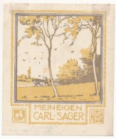 Alfred Peter (1877-1959): Ex Libris Carl Sager.  Színes Fametszet, Papír, Jelzett A Dúcon,... - Sonstige & Ohne Zuordnung