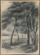 Deli Antal (1886-1960): ErdÅ‘széle. Szén, Papír, Jelzett, 25×16 Cm - Andere & Zonder Classificatie