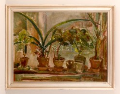 Barta Mária (1897-1969): Ablak Növények. Olaj, Vászon-karton, Jelzett, Keretben,... - Autres & Non Classés