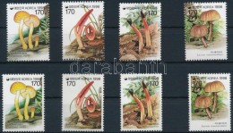 ** 1998 Gomba Sor Mi 1981-1988 - Altri & Non Classificati