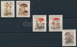 ** 1958 Gomba Sor Mi 1101-1105 - Sonstige & Ohne Zuordnung