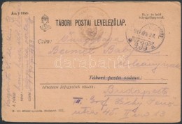 1917 Tábori Posta LevelezÅ‘lap / Field Postcard 'HONVÉD HUSZÁR EZRED' + 'TP 433 A' - Andere & Zonder Classificatie