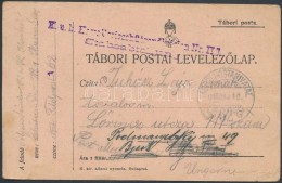 1916 Tábori Posta LevelezÅ‘lap / Field Postcard 'TP 62' - Andere & Zonder Classificatie