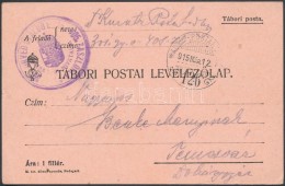 1915 Tábori Posta LevelezÅ‘lap / Field Postcard '391. HONVÉD GYALOG EZRED 405.... - Andere & Zonder Classificatie