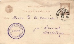 1883 Díjjegyes LevelezÅ‘lap 'KOLOSVAR B' - 'SZELISTYE SZEBEN VM' - Szecsel - Andere & Zonder Classificatie