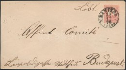 1876 5kr Díjjegyes Levél 'N.KANIZSA' - 'BUD(APEST)/FÅPOSTA' - Other & Unclassified