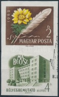 O 1960 Bélyegbemutató Vágott Szelvényes Bélyeg (4.000) - Otros & Sin Clasificación