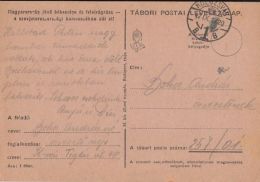 47647- WARFIELD POSTCARD, WW2, POST OFFICE NR 257/01, 1942, HUNGARY - Lettres & Documents