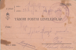 47649- WARFIELD POSTCARD, WW1, POST OFFICE NR 102, CENSORED INFANTRY BATALION NR 32.2, 1916, HUNGARY - Cartas & Documentos