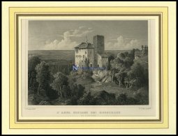 Bei RORSCHACH: Schloß St. Anna, Stahlstich Von Lange/Lang Um 1840 - Litografía