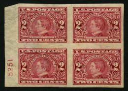 USA 176B VB *,** , Scott 371, 1909, 2 C. Alaska-Yukon-Pacific-Ausstellung, Ungezähnt, Im Viererblock Mit Plattennum - Usati