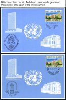 UNO - GENF-BLAUE KARTEN 1974-81, 20 Verschiedene Blaue Karten, Pracht, Mi. 273.- - Andere & Zonder Classificatie