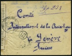 GRIECHENLAND 197 BRIEF, 1919, Brief An Das Internationale Rote Kreuz Nach Genf, Rückseitig 2x 25 L. Ultramarin, Mit - Other & Unclassified