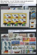 LOTS **, 1987-96, Partie Verschiedener Kompletter Ausgaben Und Blocks, Pracht, Mi. Ca. 900.- - Usados