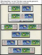 SAMMLUNGEN **, Komplette Postfrische Teilsammlung DDR Von 1978-83 Im SAFE Falzlosalbum, Dazu Einige Zusammendrucke, Prac - Verzamelingen