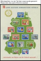 SAMMLUNGEN **, Bis Auf 2 Gestempelte Werte Komplette Postfrische Sammlung DDR Von 1963-81 In 3 Lindner Falzlosalben, Pra - Colecciones