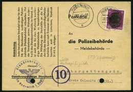 SÄCHSISCHE SCHWÄRZUNGEN AP 785bI BRIEF, RODEWISCH, 6 Pf. Auf Postkarte (Meldebehörde), Gelocht, Feinst - Otros & Sin Clasificación