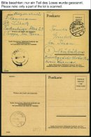 ALL. BES. AUFBRAUCHAUSGABEN P 694a,b,695 A. A-g BRIEF, 1945, 6 Verschiedene Ganzsachenkarten, Davon 3 Ungebraucht, Feins - Andere & Zonder Classificatie