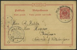 MSP BIS 1914 MSP P 1 BRIEF, 22 (S.M.S. WOLF), 31.1.99, 10 Pf. MSP-Ganzsachenkarte Aus Viktoria (Kamerun), Pracht - Marítimo